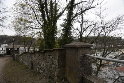 DSC_7044 (Large).JPG